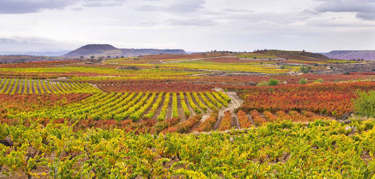 Rioja cuenta ya con un total de 189 hectáreas de viñedos singulares