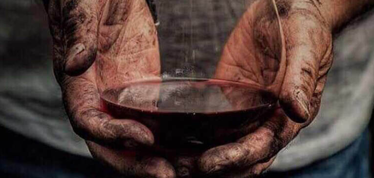 Presentado ‘Vinos de España’, el «vademécum» de los aromas del vino español