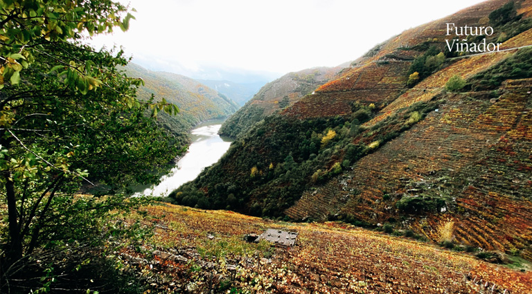 La jornada ‘Atlántico, minifundio y diversidad’ arroja una mirada diferente a la Galicia rural